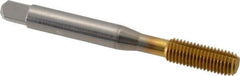 Balax - 1/4-28 UNF H7 Thread Limit Bottoming Thread Forming Tap - High Speed Steel, TiN Finish, 2-1/2" OAL, 1" Thread Length, Right Hand Thread, Series BXB - All Tool & Supply