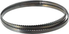 Starrett - 4 TPI, 11' 9" Long x 1/2" Wide x 0.025" Thick, Welded Band Saw Blade - Carbon Steel, Toothed Edge, Raker Tooth Set, Flexible Back, Contour Cutting - All Tool & Supply