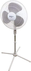 Comfort Zone - 16" Blade, 445 Max CFM, Standing Fan - 0.42 Amps, 120 Volts, 3 Speed - All Tool & Supply