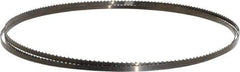 Disston - 6 TPI, 7' 9-1/2" Long x 1/4" Wide x 0.025" Thick, Welded Band Saw Blade - Carbon Steel, Toothed Edge, Raker Tooth Set, Flexible Back, Contour Cutting - All Tool & Supply