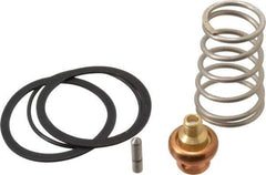 Bradley - Wash Fountain Repair Kit - For Use with Bradley S01-116S Thermostatic Mixing Valve - All Tool & Supply