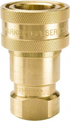 Parker - 1 NPTF Brass Hydraulic Hose Female Pipe Thread Coupler - 1,000 psi, 50 GPM - All Tool & Supply