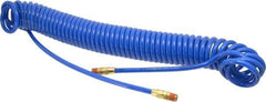 Coilhose Pneumatics - 1/4" ID, 1/4 Thread, 30' Long, Blue Polyurethane Coiled & Self Storing Hose - 125 Max psi, Male Swivel x Male Swivel - All Tool & Supply