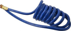 Coilhose Pneumatics - 3/8" ID, 3/8 Thread, 10' Long, Blue Polyurethane Coiled & Self Storing Hose - 115 Max psi, Male Swivel x Male Swivel - All Tool & Supply