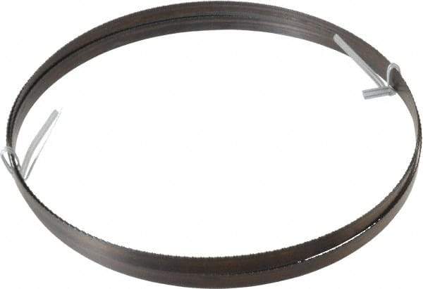 Disston - 18 TPI, 7' 9-1/2" Long x 1/2" Wide x 0.025" Thick, Welded Band Saw Blade - Carbon Steel, Toothed Edge, Raker Tooth Set, Hard Back, Contour Cutting - All Tool & Supply