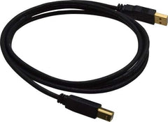 Tripp-Lite - 6' Long, USB A/B Computer Cable - Black, Male x Male - All Tool & Supply