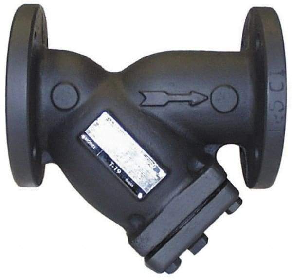 Legend Valve - 2-1/2" Pipe, Flanged Ends, Cast Iron Y-Strainer - 200 psi WOG Rating, 150 psi WSP Rating - All Tool & Supply