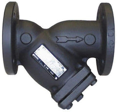 Legend Valve - 2" Pipe, Flanged Ends, Cast Iron Y-Strainer - 200 psi WOG Rating, 150 psi WSP Rating - All Tool & Supply