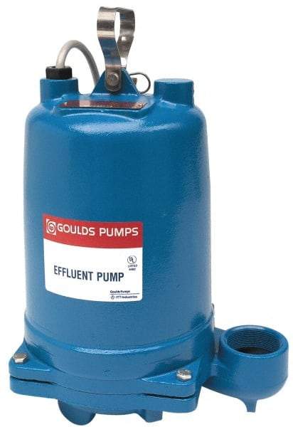 Goulds Pumps - 1/3 hp, 115 Amp Rating, 115 Volts, Capacitor Start Operation, Effluent Pump - 1 Phase, Cast Iron Housing - All Tool & Supply