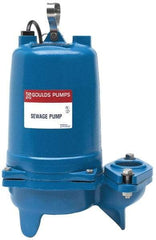 Goulds Pumps - 1/2 hp, 115 Amp Rating, 115 Volts, Nonautomatic Operation, Sewage Pump - 1 Phase, Cast Iron Housing - All Tool & Supply