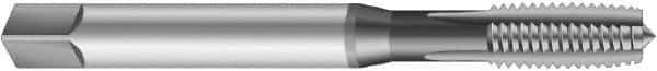 Emuge - #4-48 UNF 2BX 3 Flute Bright Finish Cobalt Straight Flute Machine Tap - Modified Bottoming, Right Hand Thread, 2.205" OAL, 0.433" Thread Length, Oversize - All Tool & Supply