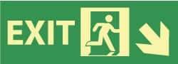 NMC - Exit, Plastic Exit Sign - 14" Wide x 5" High, Glow-in-the-Dark - All Tool & Supply