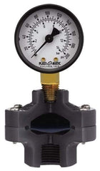 Plast-O-Matic - 30 Max Hg 2 Inch Dial Diameter, PVC Pressure Gauge Guard and Isolator - 3% Accuracy - All Tool & Supply