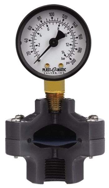 Plast-O-Matic - 200 Max psi, 2 Inch Dial Diameter, PVC Pressure Gauge Guard and Isolator - 3% Accuracy - All Tool & Supply