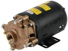 Pentair - 208-230/460 Volt, 3/4 hp, 1-1/4 Inlet, 72 GPM Bronze Utility Pump - 55 Max Head Pressure, 1 Inch Outlet - All Tool & Supply