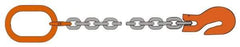 Pewag - 10' Long, 3,500 Lb Basket Capacity, 3,500 Lb Vertical Capacity, Alloy Steel Web Sling - SOG Chain Sling, 9/32" Diam Chain, Silver (Color), with Grab Hook & Master Link - All Tool & Supply