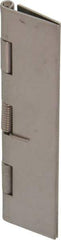 Value Collection - 3-1/2" Long x 1-1/2" Wide x 0.04" Thick, Spring Hinge - Stainless Steel - All Tool & Supply