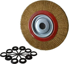 Value Collection - 10" OD, 1-1/4" Arbor Hole, Crimped Brass-Coated Steel Wheel Brush - 1" Face Width, 1-15/32" Trim Length, 0.012" Filament Diam, 3,000 RPM - All Tool & Supply