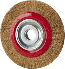 Value Collection - 8" OD, 1-1/4" Arbor Hole, Crimped Brass-Coated Steel Wheel Brush - 3/4" Face Width, 1-11/32" Trim Length, 0.007" Filament Diam, 4,500 RPM - All Tool & Supply