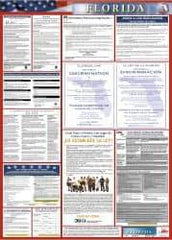 NMC - 24" Wide x 40" High Laminated Paper Labor Law Information Poster - Florida Jurisdiction, 0.03" Thick, Spanish - All Tool & Supply