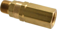 Specialty Mfr - 3/8" Brass Check Valve - Inline, FNPT x MNPT, 3,000 WOG - All Tool & Supply