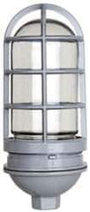 Cooper Crouse-Hinds - 120 Volt, 100 Watt, Incandescent Hazardous Location Light Fixture - Vaporproof, Corrosion & Heat Resistant, Aluminum Housing, 4-1/4" Wide x 9-3/8" High - All Tool & Supply