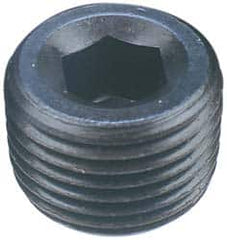 Made in USA - 1-1/4-11-1/2, 1-1/4" OAL, Alloy Steel Socket Pressure Plug - All Tool & Supply