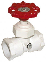 Legend Valve - 3/4" Pipe, 100 psi WOG Rating, PVC Stop & Waste Valve - All Tool & Supply