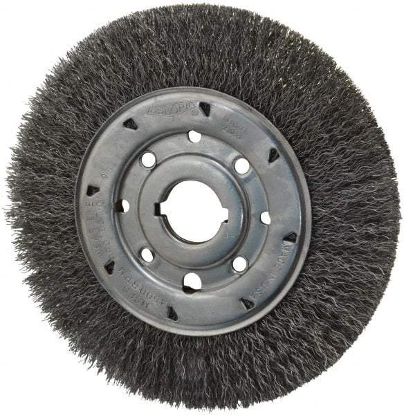 Osborn - 8" OD, 1-1/4" Arbor Hole, Crimped Steel Wheel Brush - 5/8" Face Width, 1-1/2" Trim Length, 0.014" Filament Diam, 4,500 RPM - All Tool & Supply