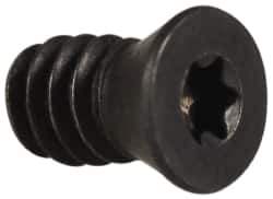 APT - Torx Cap Screw for Indexable Counterbore - All Tool & Supply