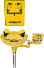 Bradley - Wall Mount, Plastic Bowl, Eye & Face Wash Station - 1/2" Inlet, 30 to 90 psi Flow, 3 GPM Flow Rate - All Tool & Supply