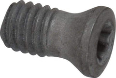 Seco - Torx Plus Lock Screw for Indexables - All Tool & Supply