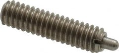 Gibraltar - 8-32, 5/8" Thread Length, 3/32" Plunger Projection, Stainless Steel Threaded Spring Plunger - All Tool & Supply