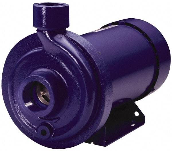 Goulds Pumps - TEFC Motor, 208-230/460 Volt, 4.0/2.0 Amp, 3 Phase, 1 HP, 3500 RPM, Cast Iron Straight Pump - 1-1/4 Inch Inlet, 1 Inch Outlet, 44 Max Head psi, 316L Stainless Steel Impeller, Carbon Ceramic Buna Seal, 102 Ft. Shut Off - All Tool & Supply