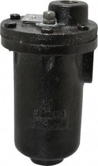 Hoffman Speciality - 3/4" NPT Inlet, 1/2" NPT Outlet, 250 Max psi, Cast Iron Water Vent - 350 Max Hydrostatic psi, 300°F Max - All Tool & Supply