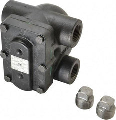 Hoffman Speciality - 1 Female" Pipe, Cast Iron Float & Thermostatic Steam Trap - 15 Max psi - All Tool & Supply