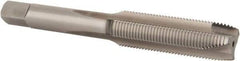 Hertel - M10x1.00 Metric Fine, D2, 3 Flutes, Plug Chamfer, Bright Finish, High Speed Steel Spiral Point STI Tap - 3-5/32" OAL - Exact Industrial Supply