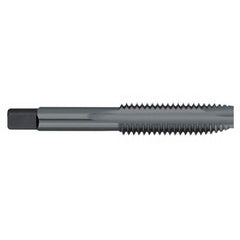 Titan USA - Spiral Point Taps; Thread Size (Inch): #12-24 ; Number of Flutes: 2 ; Chamfer: Plug ; Class of Fit: 2B/3B ; Thread Limit: H3 ; Finish/Coating: Steam Oxide - Exact Industrial Supply