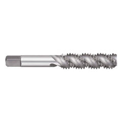 Titan USA - Spiral Flute Taps; Thread Size (Inch): #6-32 ; Chamfer: Semi-Bottoming ; Class of Fit: 2B/3B ; Thread Limit: H3 ; Number of Flutes: 2 ; Material: High Speed Steel - Exact Industrial Supply