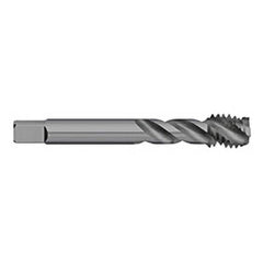 Titan USA - Spiral Flute Taps; Thread Size (mm): M5x0.80 ; Chamfer: Semi-Bottoming ; Class of Fit: 6H ; Thread Limit: D4 ; Number of Flutes: 3 ; Material: Powdered Metal - Exact Industrial Supply