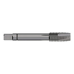 Spiral Point Tap: M5 x 0.8, Metric Coarse, 3 Flutes, Plug, 6H, Powdered Metal, Steam Oxide Finish 37/64″ Thread Length, 2-3/8″ OAL, Right Hand, D3, Series 712