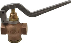 Kingston - 1/4" Pipe, 400 Max psi, Buna N Disc, Self Closing Control Valve - Squeeze Lever, FNPT x FNPT End Connections - All Tool & Supply