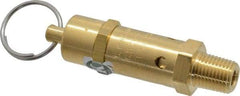 Kingston - 1/4" Inlet, ASME Safety Relief Valve - 50 Max psi, Brass - All Tool & Supply