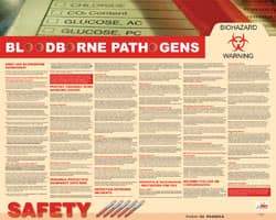 NMC - 30" Wide x 24" High Laminated Paper Bloodborne Pathogens Information Poster - English - All Tool & Supply