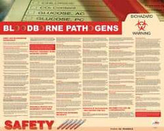 NMC - 30" Wide x 24" High Laminated Paper Bloodborne Pathogens Information Poster - English - All Tool & Supply