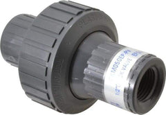 Plast-O-Matic - 1/2" PVC Check Valve - Inline, FNPT x FNPT, 150 WOG - All Tool & Supply