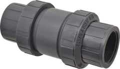 Plast-O-Matic - 2" PVC Check Valve - Inline, FNPT x FNPT, 150 WOG - All Tool & Supply