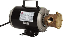 Jabsco - 1 Inch Inlet, 3/4 Hp, 23 Max GPM, Flexible Impeller Pump - 115/230 Volts, Nitrile Impeller - All Tool & Supply