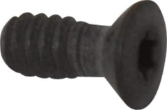 Iscar - Torx Cap Screw for Indexable Boring Bars & Turning - #4 Thread, Industry Std 7000207 - All Tool & Supply