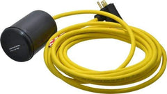 Berkeley - 115 AC Volt, High Temp, Float Switch - 15 Ft. Cord Length, Polypropylene - All Tool & Supply